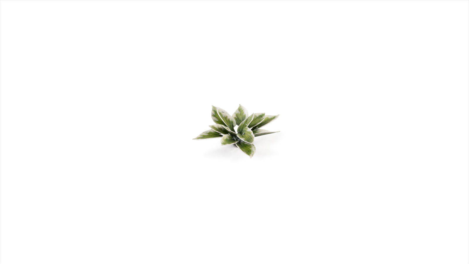 Gamers Grass - Laser Plants - Plantain Lily - Out of Play