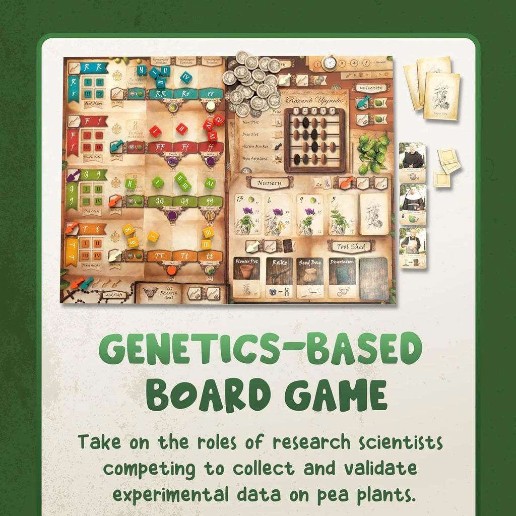 Genotype: A Mendelian Genetics Game | MENSA Recommended Strategy Board Game about the Science of Genetics, Punnett Squares and Gregor Mendel’s Pea Plants - Out of Play