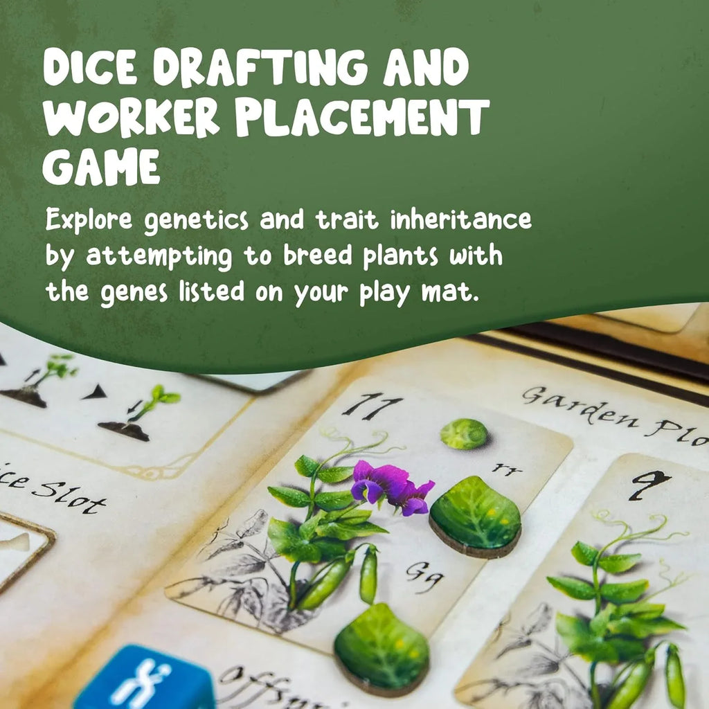 Genotype: A Mendelian Genetics Game | MENSA Recommended Strategy Board Game about the Science of Genetics, Punnett Squares and Gregor Mendel’s Pea Plants - Out of Play
