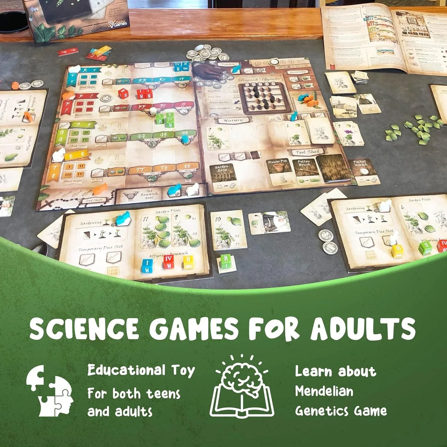 Genotype: A Mendelian Genetics Game | MENSA Recommended Strategy Board Game about the Science of Genetics, Punnett Squares and Gregor Mendel’s Pea Plants - Out of Play