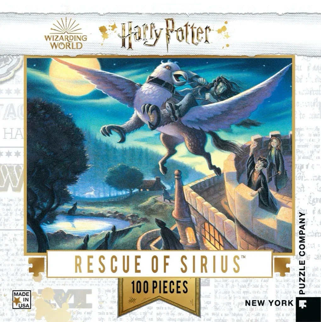 Rescue of Sirius Mini - Out of Play