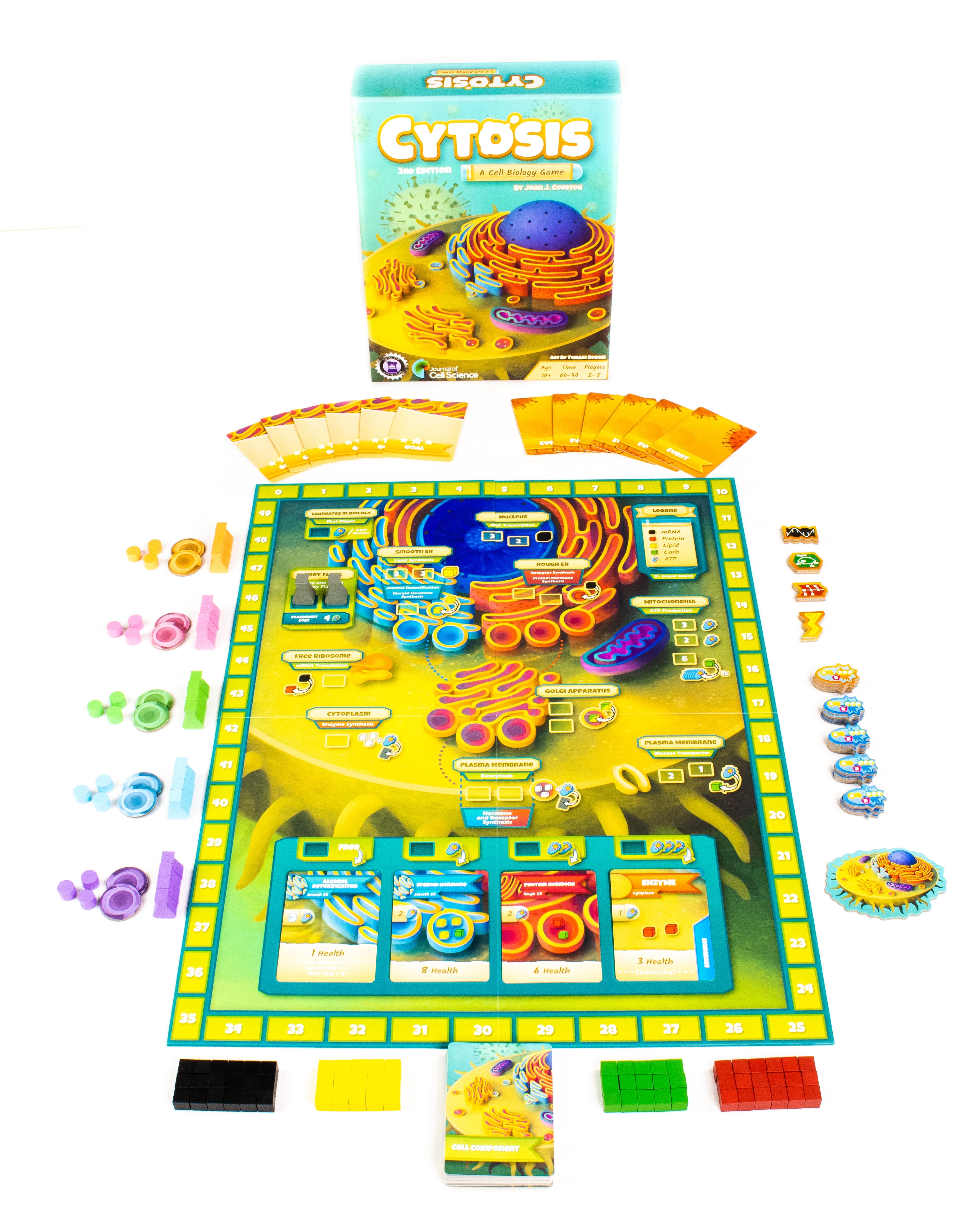 Cytosis: A Cell Biology Game | A Science Accurate Strategy Board Game About Building Proteins, Carbohydrates, Enzymes, Organelles, & Membranes