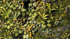 Gamers Grass | Basing Box | Jungle Floor