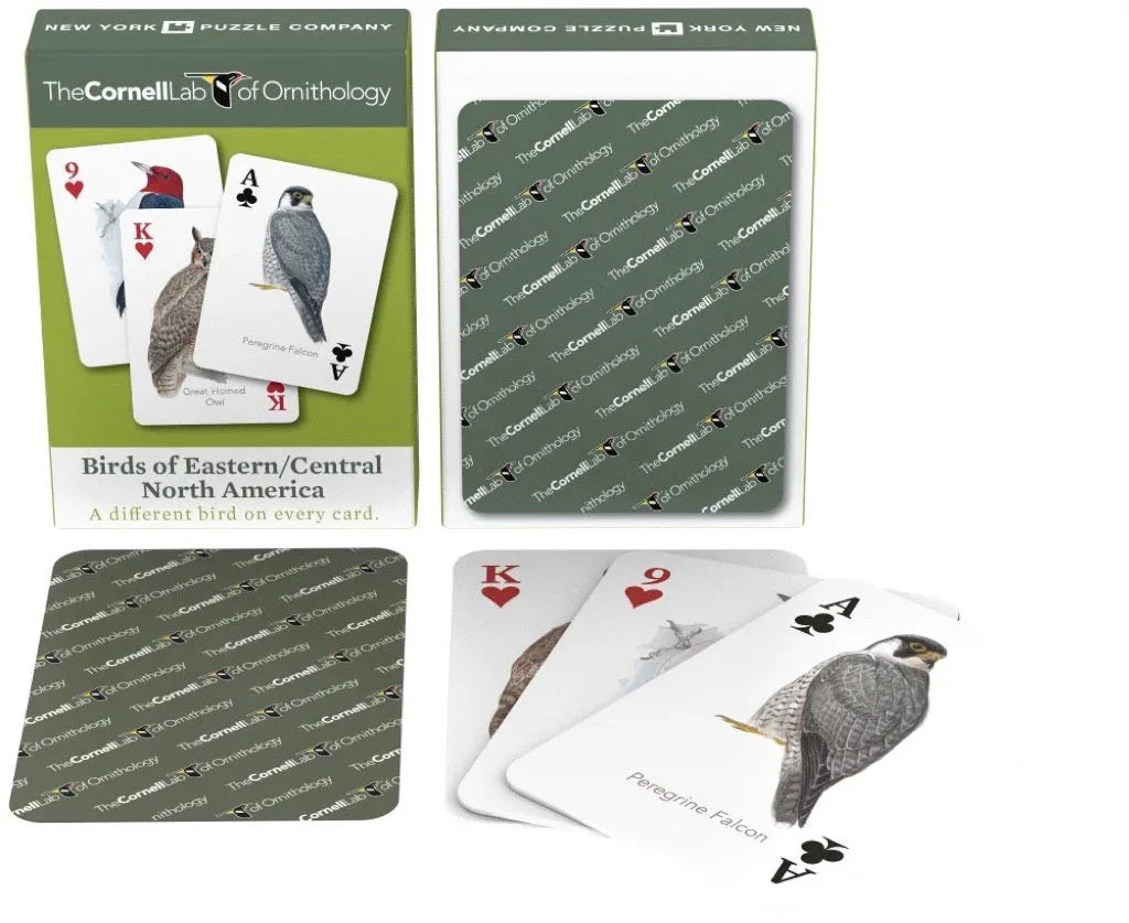 Birds of Eastern/Central North America Playing Cards - Out of Play