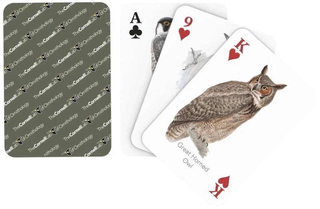 Birds of Eastern/Central North America Playing Cards - Out of Play