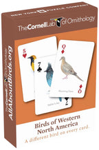 Birds of Western North America Playing Cards - Out of Play