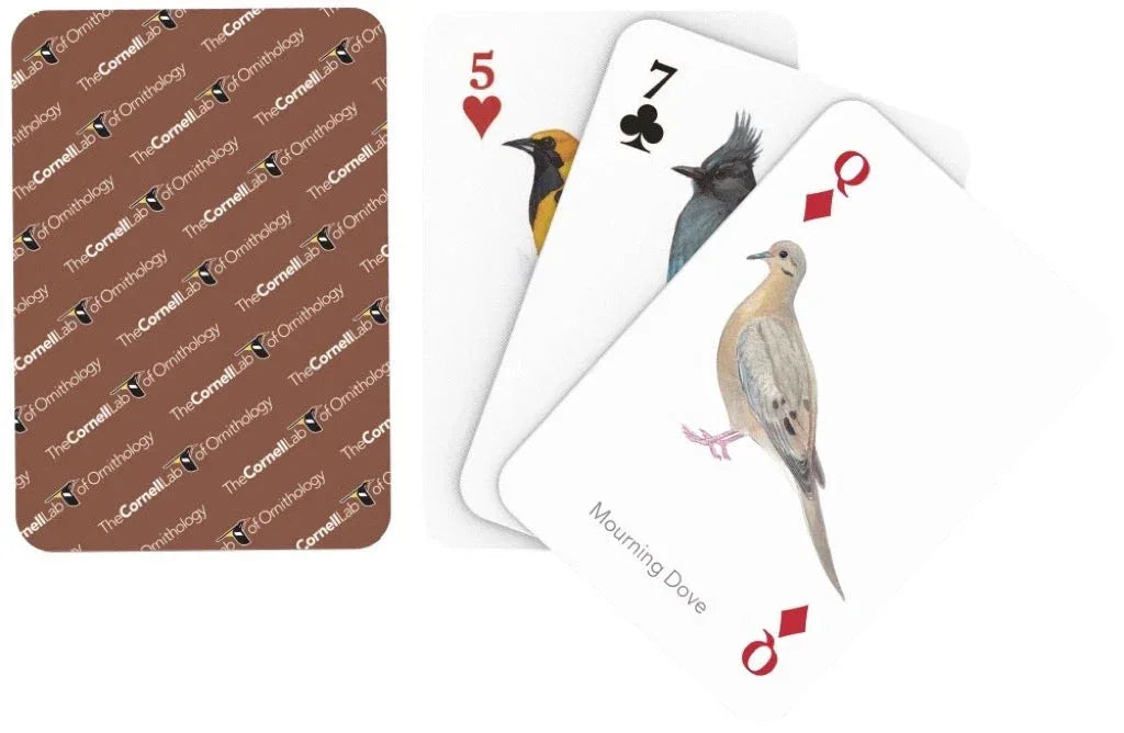 Birds of Western North America Playing Cards - Out of Play