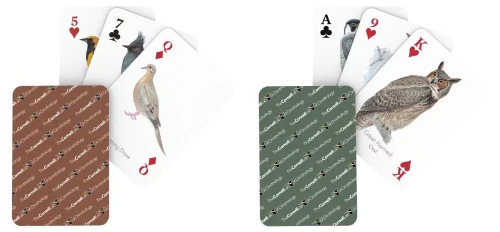 Cornell Birds Double Deck Playing Cards - Out of Play