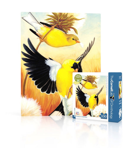 American Goldfinch Mini - Out of Play