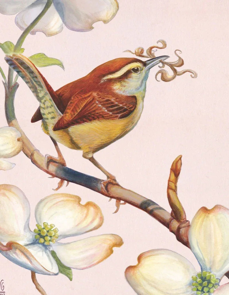 Carolina Wren Mini - Out of Play