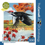 Pileated Woodpecker Mini - Out of Play
