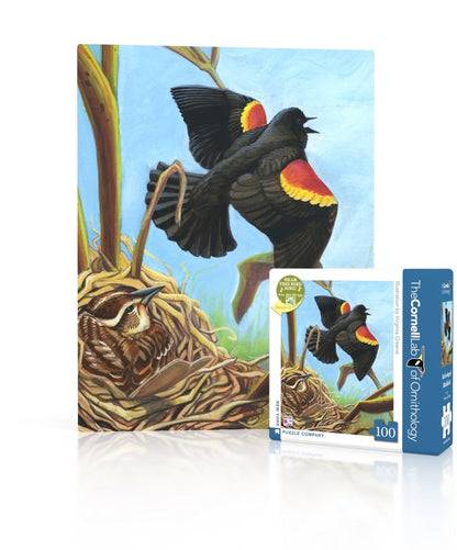 Red-winged Blackbird Mini - Out of Play