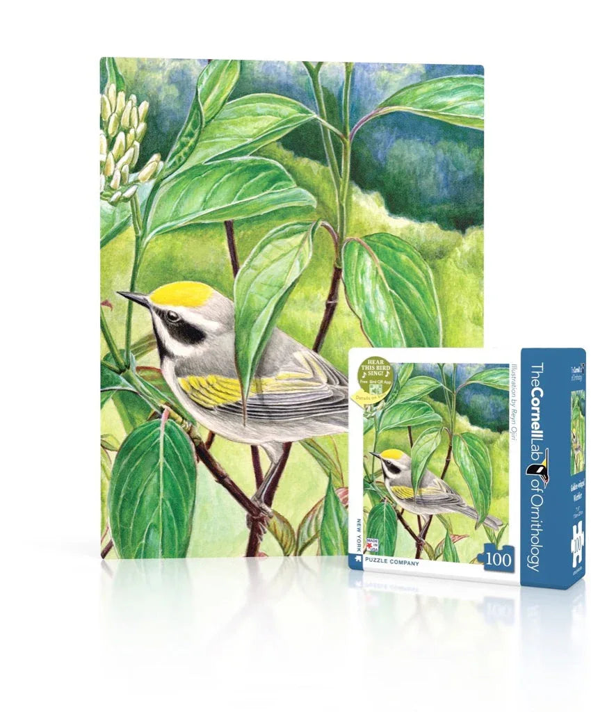 Golden-winged Warbler Mini - Out of Play