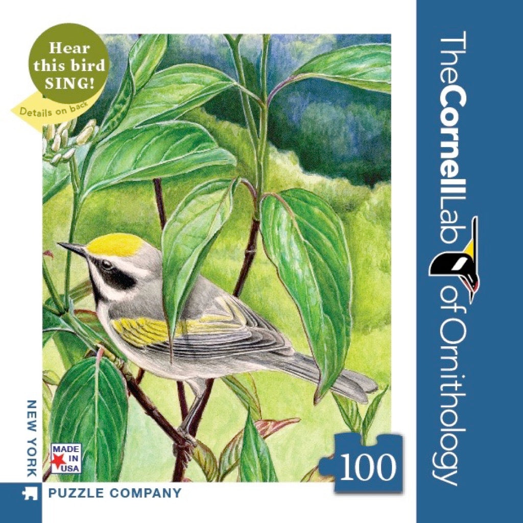 Golden-winged Warbler Mini - Out of Play