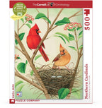 Northern Cardinals - Out of Play