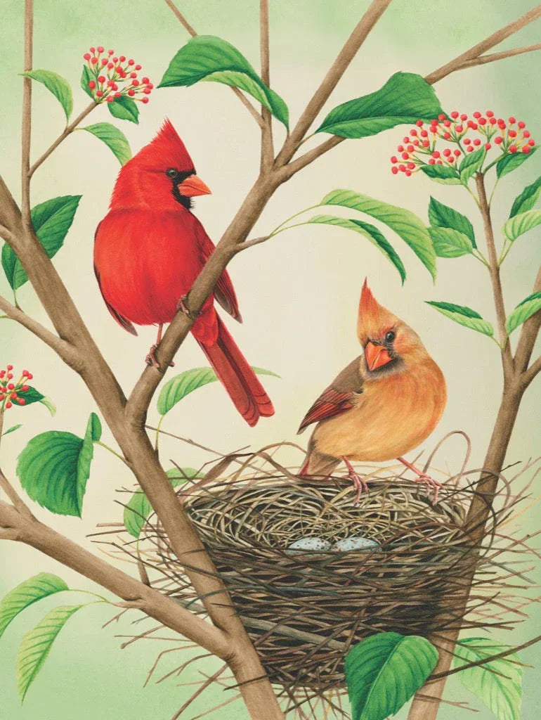 Northern Cardinals - Out of Play