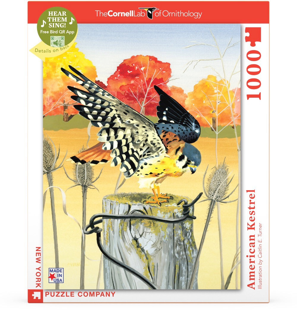 American Kestrel - Out of Play