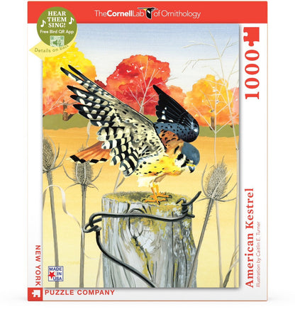 American Kestrel - Out of Play