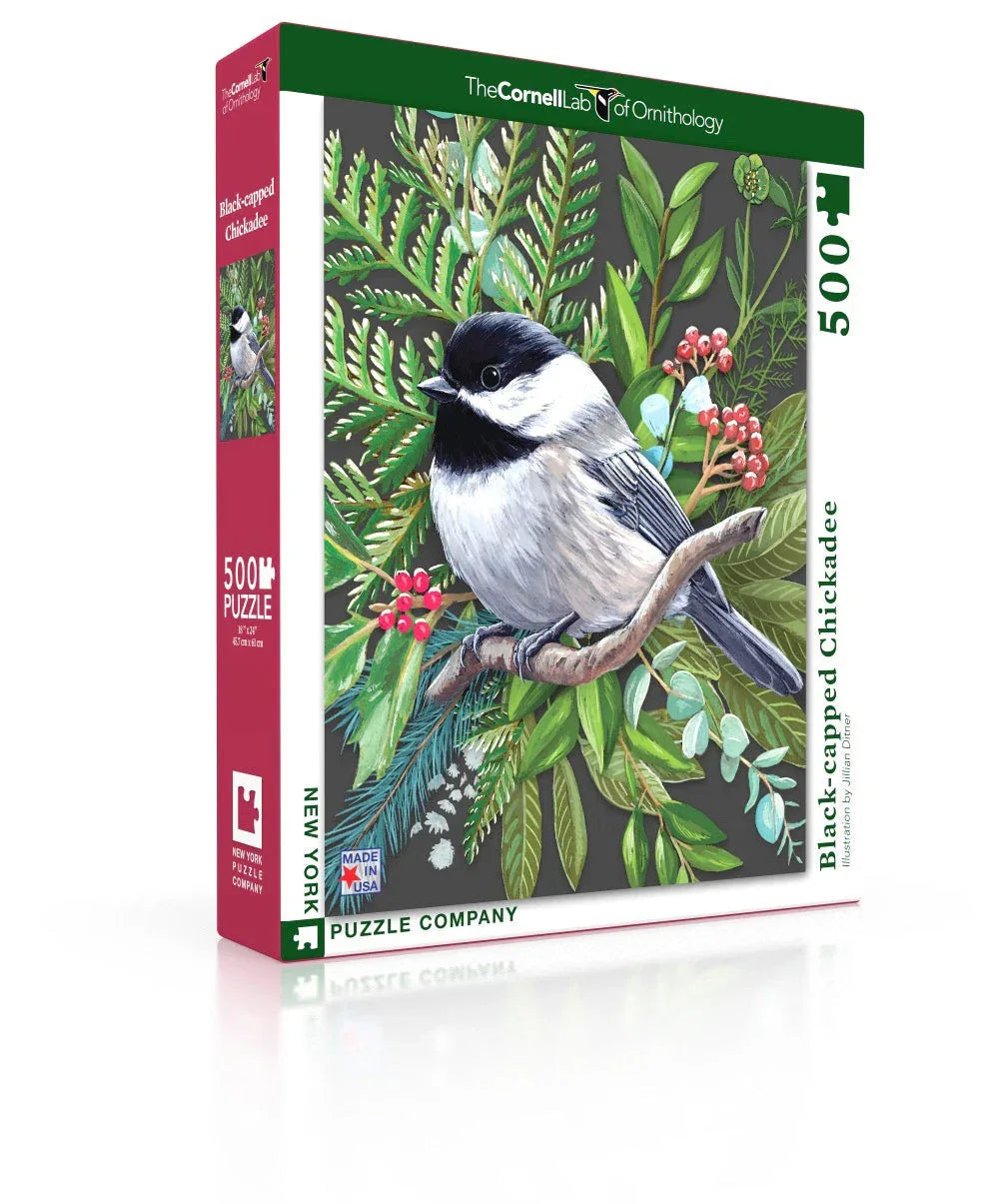 Black-capped Chickadee - Out of Play