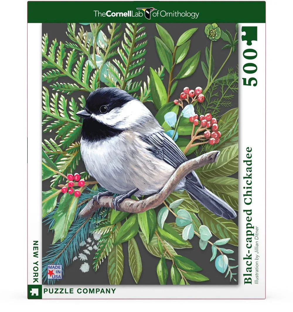 Black-capped Chickadee - Out of Play