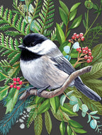 Black-capped Chickadee - Out of Play