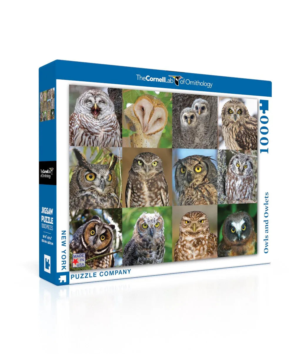 Owls and Owlets - Out of Play