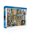 Owls and Owlets - Out of Play