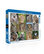 Owls and Owlets - Out of Play