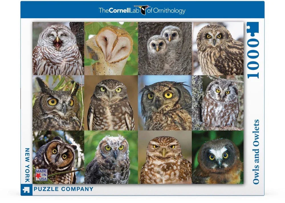 Owls and Owlets - Out of Play
