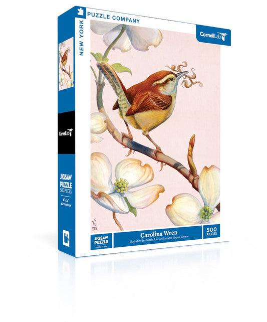 Carolina Wren - Out of Play