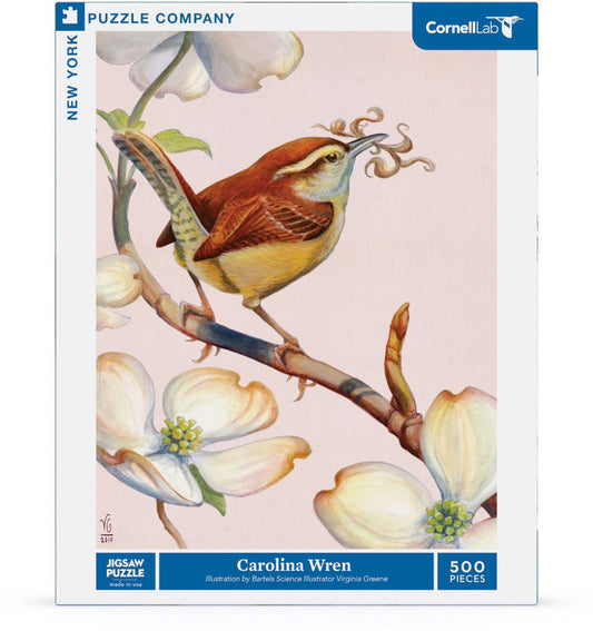 Carolina Wren - Out of Play