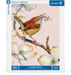 Carolina Wren - Out of Play