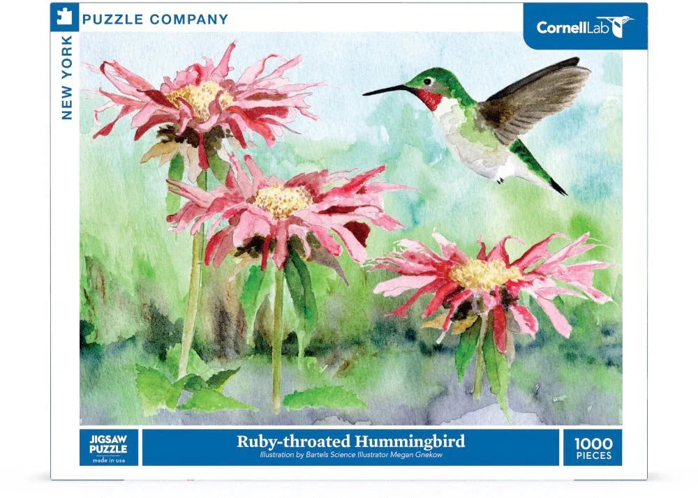 Ruby-throated Hummingbird - Out of Play