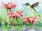 Ruby-throated Hummingbird - Out of Play