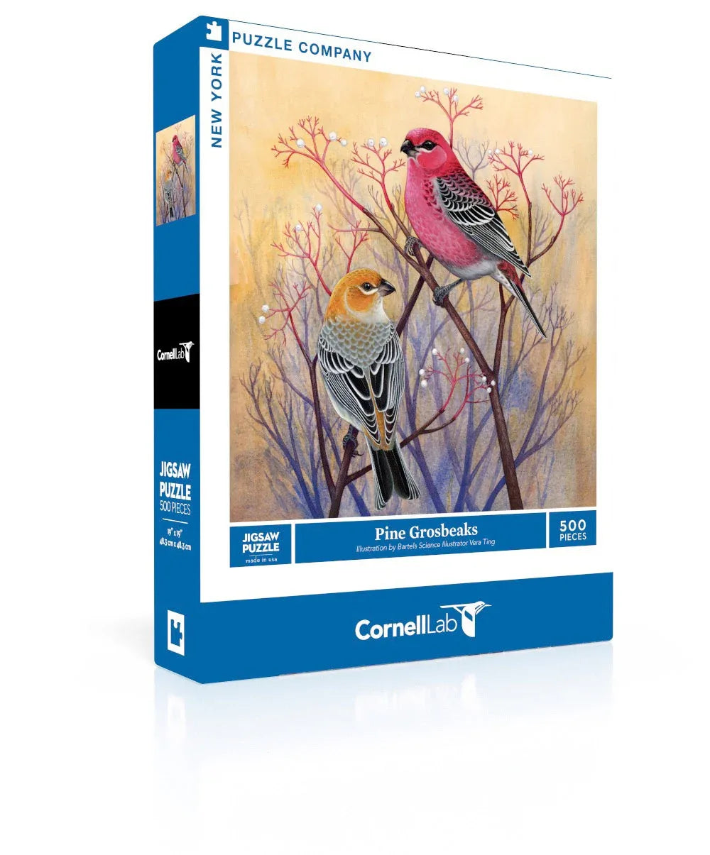 Pine Grosbeaks - Out of Play