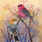Pine Grosbeaks - Out of Play