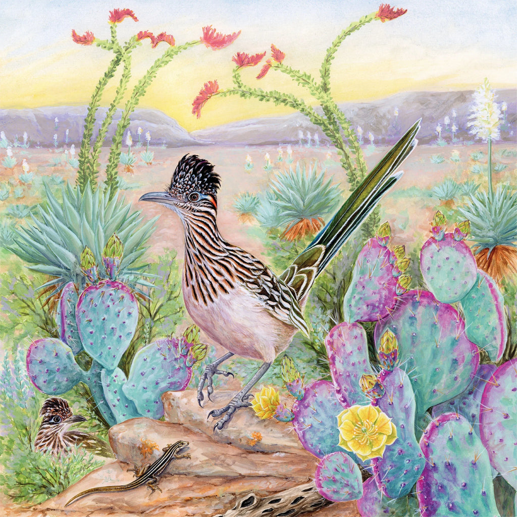 Greater Roadrunner - Out of Play