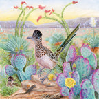 Greater Roadrunner - Out of Play