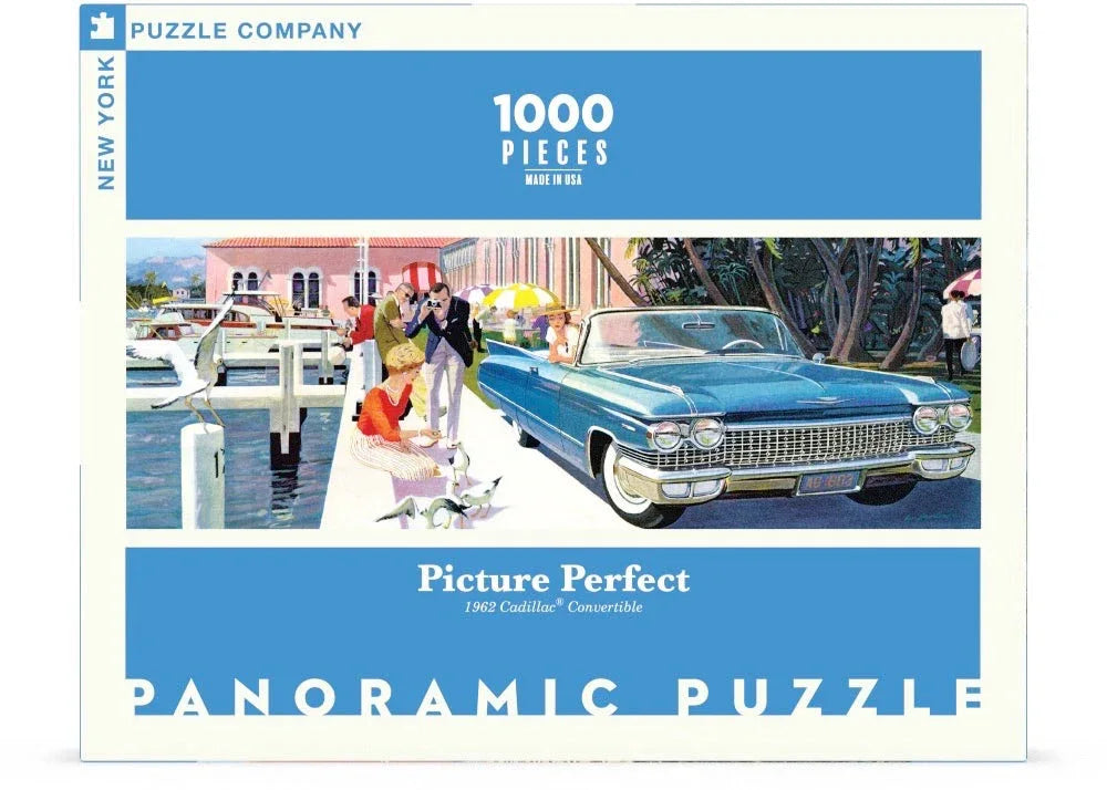 Picture Perfect - Out of Play
