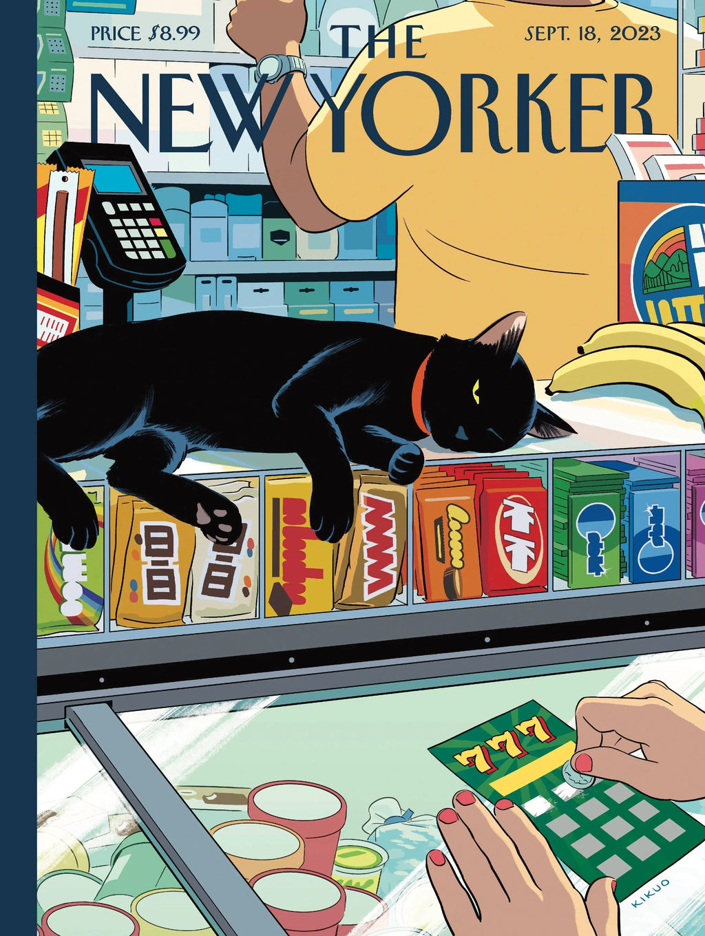 Bodega Cat - Out of Play