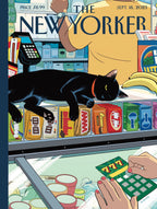 Bodega Cat - Out of Play