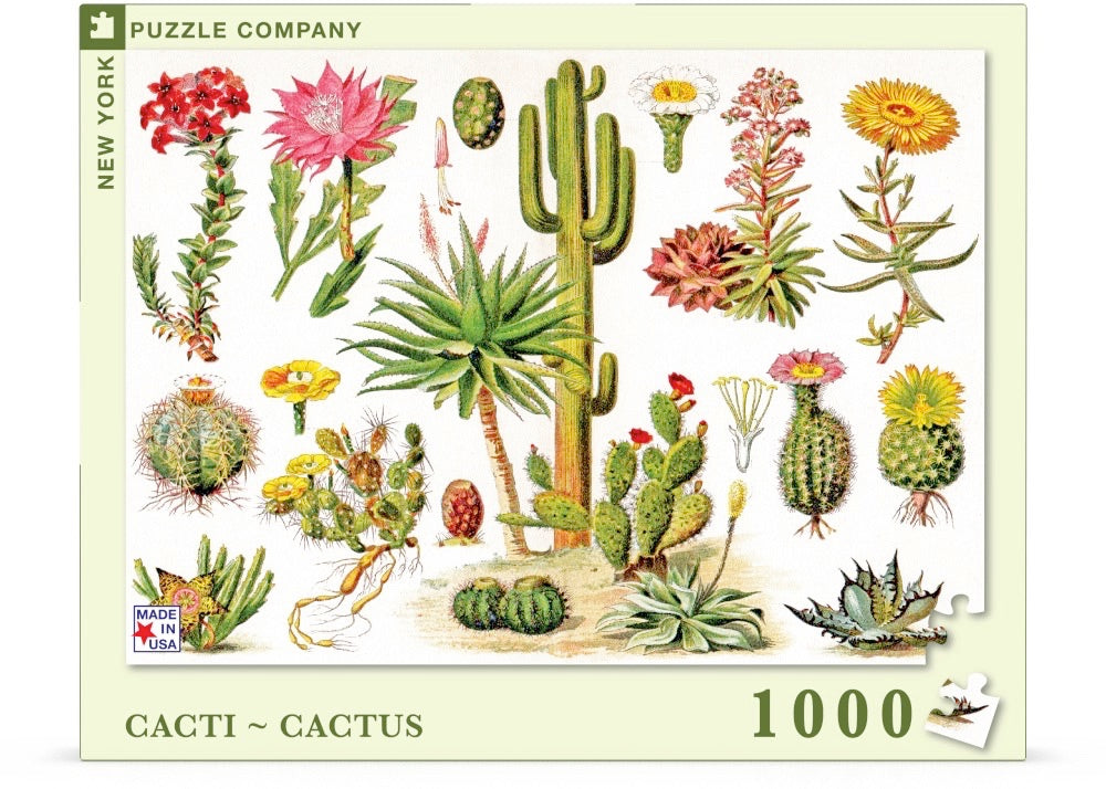 Cacti ~ Cactus - Out of Play