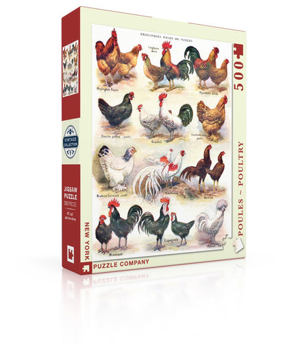 Poules ~ Poultry - Out of Play