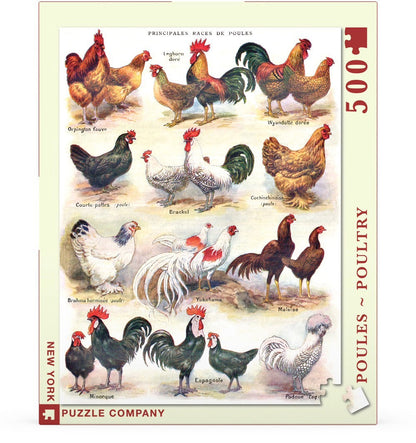 Poules ~ Poultry - Out of Play
