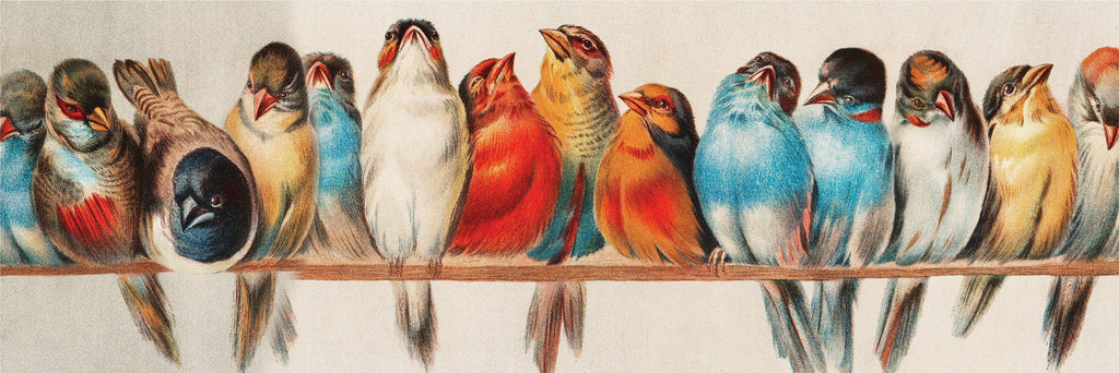 Perch