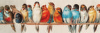 Perch