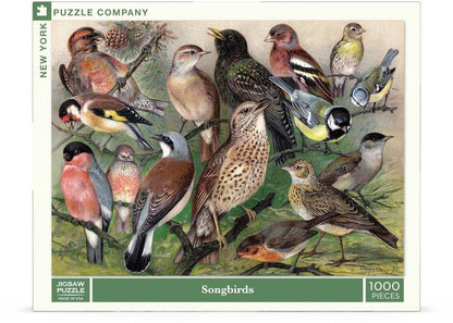 Songbirds - Out of Play