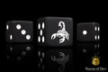 Ancient Scorpion Dice - Out of Play