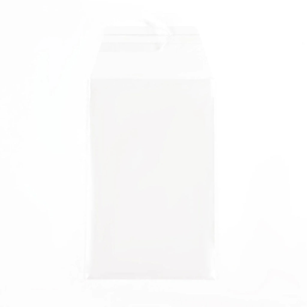 Perfect Fit PSA Graded Card Sleeves (100 count) - Out of Play