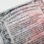 DM Vault for Planescape: Adventures in the Multiverse (D&D) - Out of Play